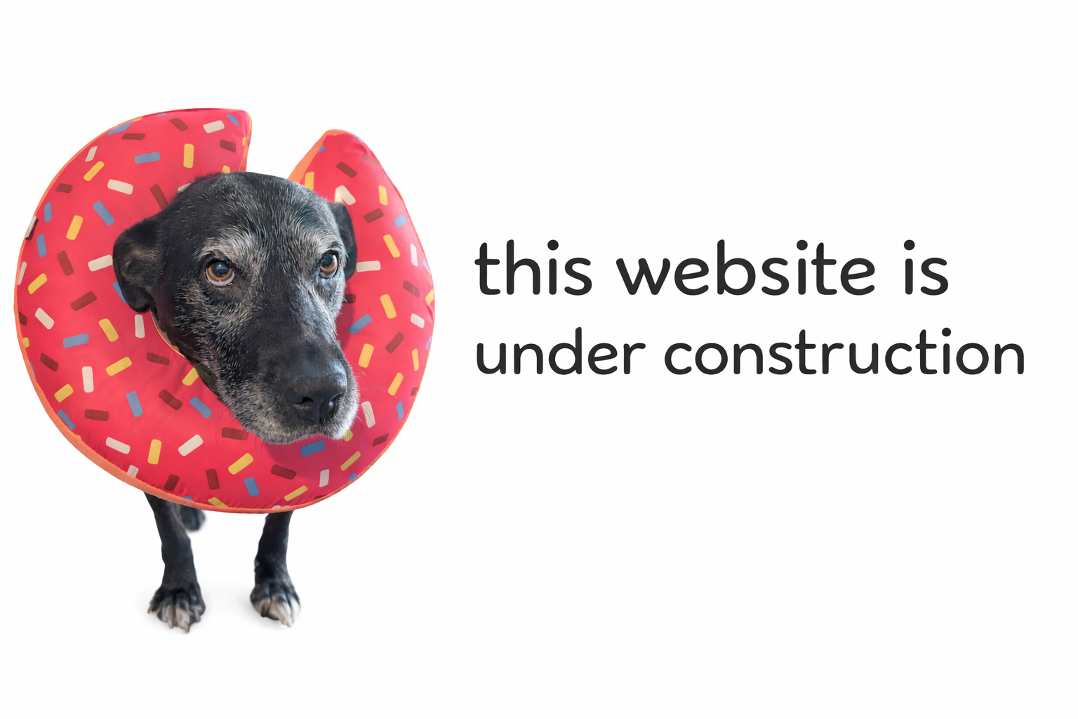 This website is under construction
